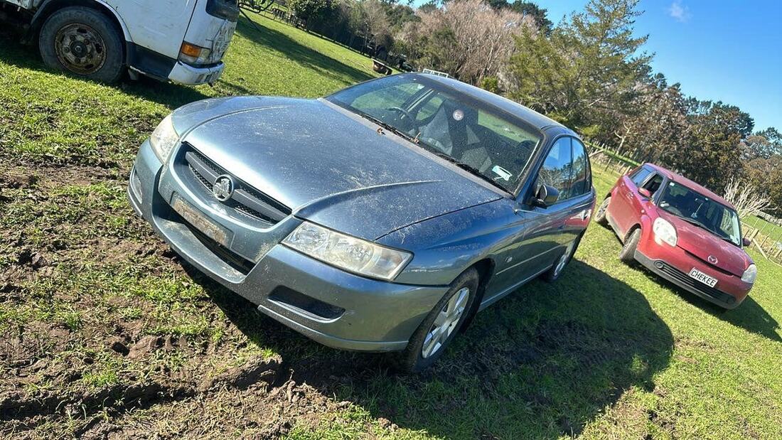 Abandoned Holden Commodore sitting in a grassy paddock next to another old car